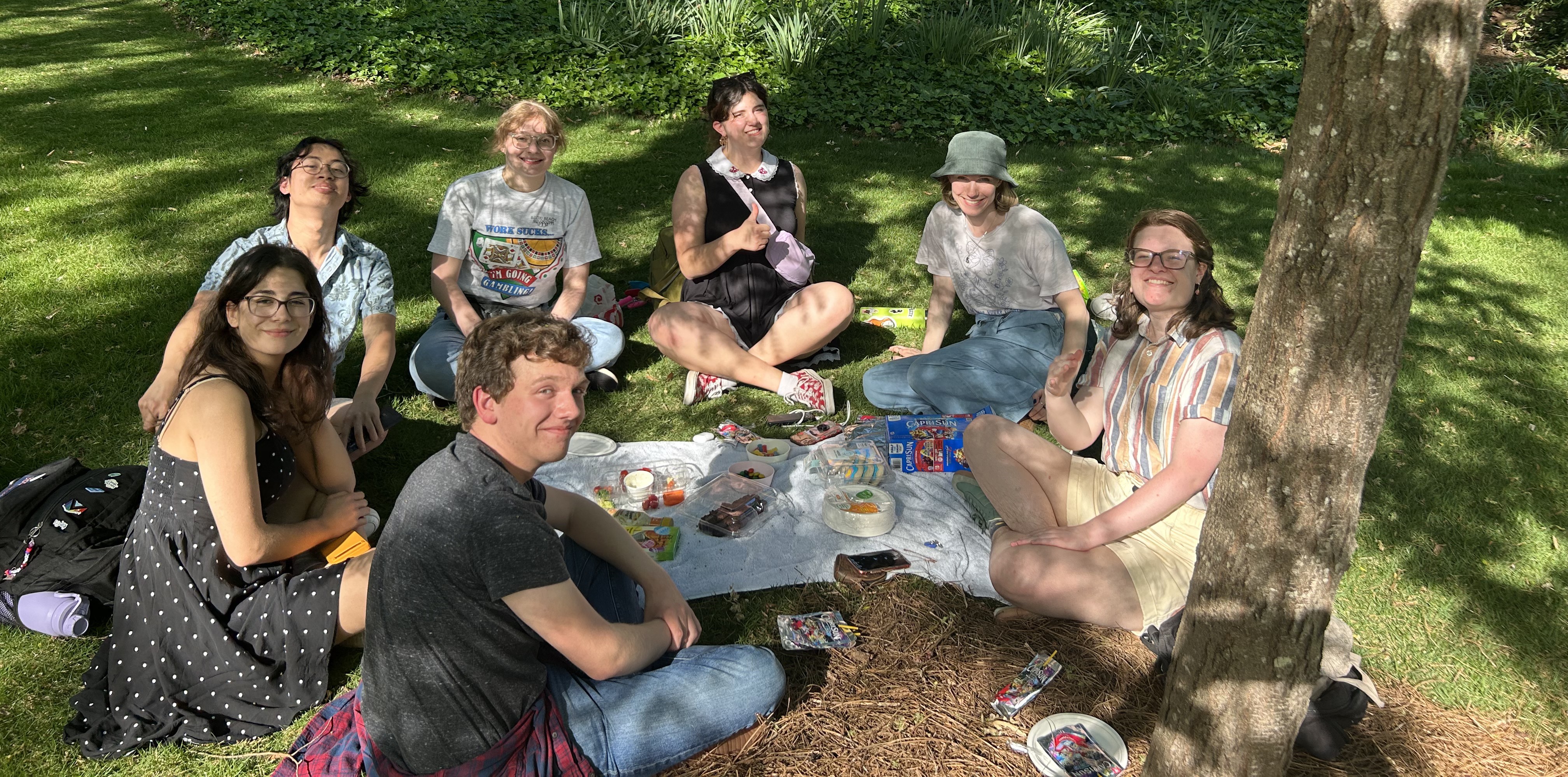 UEA Picnic